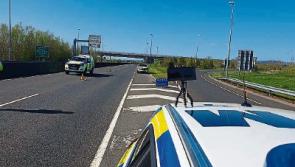 Family &lsquo;cracking up at home&rsquo; stopped at Covid-19 checkpoint in Limerick