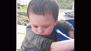 Local family seeks help in finding 'support puppy'