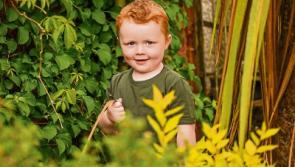 Team Limerick Clean-up launches new competition to mark International Biodiversity day