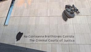 Limerick man accused of trafficking rhino horns extradited to United States following early-morning arrest