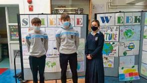 Wild About Wildlife: Celebrating science week in Limerick