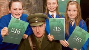 Limerick council launches 1916 Rising centenary programme