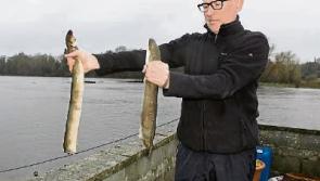 Limerick-based scientist calls lower Shannon a 'sick' river
