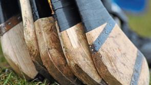 Limerick sides face key Fitzgibbon Cup ties