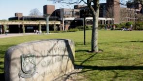 Review into UL allegations due for publication next week