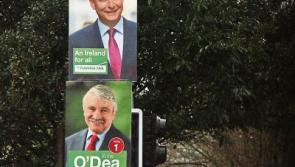 Election posters in Limerick 'cause near-crash'