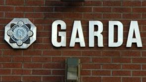 Investigations continue into Limerick hedge cutting death