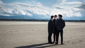 Debut album from Limerick's Bleeding Heart Pigeons Is real deal