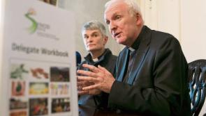 Policy document to be produced from Limerick Diocesan Synod