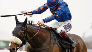 THE PUNTER'S EYE: Aidan O'Brien can put on a 'show' at Limerick races this  weekend