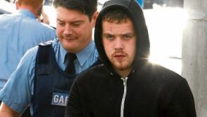 Young man guilty over spate of arson attacks at Limerick farms