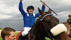 Limerick jockey Hayes wins Irish 2,000 Guineas
