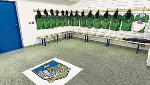 What the papers said about Limerick's Munster championship exit