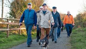 Multimillion euro windfall for West Limerick projects&nbsp;