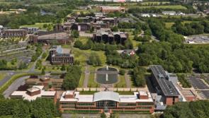 University of Limerick drops out of world's top 500