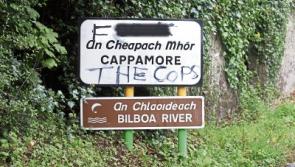 'F*** the cops'&nbsp;graffitied on Limerick village sign