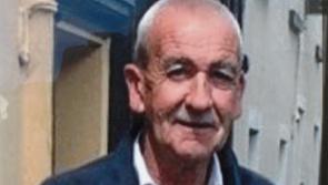 Limerick pedestrian was 'minutes from home' when hit by car