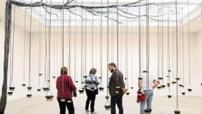 Unique perspective on Limerick in new LCGA exhibition