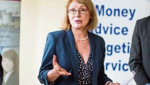 Council in talks over land for Castletroy/Monaleen school