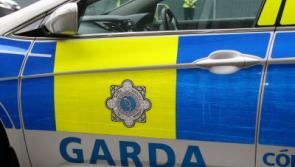More garda&iacute; for Rathkeale's big Christmas