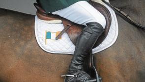 Limerick showjumper impresses at International Grand Prix&nbsp;&nbsp;