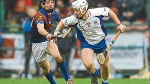 Profiled &ndash;&nbsp;Limerick trio set out on Fitzgibbon Cup trail