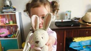 Bunny search: Limerick woman hoping to find missing 'passenger'&nbsp;