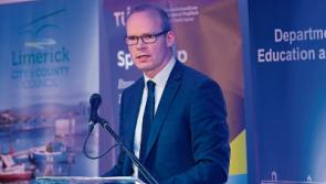 Limerick councillors differ on who should lead Fine Gael next