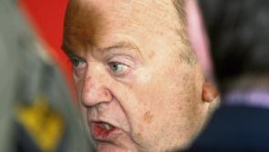 Report finds Michael Noonan was lobbied by foster parents of 'Grace'&nbsp;