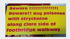 Limerick owners of poisoned terrier erect warning signs
