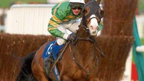Cheltenham honours JT McNamara on Tuesday