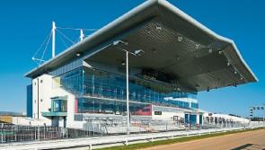Greyhound board in talks over &euro;21m loan for Limerick stadium