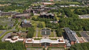 Mass STD screenings at University of Limerick