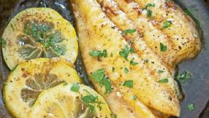 Don&rsquo;t shy away from this fishy delight  