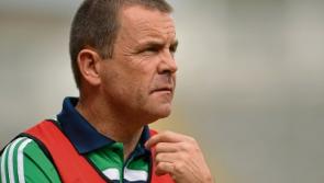Limerick confirm hurling panel to play Clare in new U-25 Munster Championship