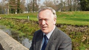 Limerick's mayor-in-waiting Stephen Keary apologises for 'racist'&nbsp;remarks