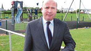 'Limerick should look to Nantes for tourism and transport ideas' says councillor