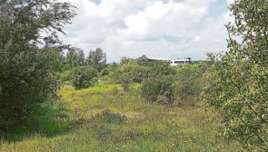 Developer unimpressed with 'poor call' on Limerick housing development