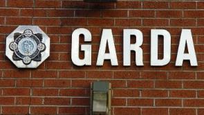 Emergency services attend scene of Limerick road crash