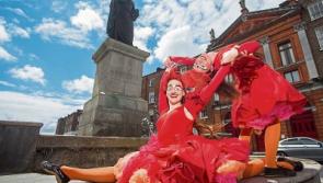 Limerick's councillors unanimously agree on new arts funding model