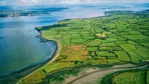 Limerick still ahead in race for LNG plant