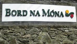 Jobs boost for Limerick&nbsp;as Bord na M&oacute;na starts work on site for&nbsp;&euro;20m smokeless coal facility