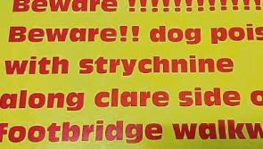 Limerick dog owners warned to keep pets tied after new poisoning case