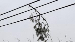 Met &Eacute;ireann warns of&nbsp;strong gusts in&nbsp;Limerick as yellow weather warning takes effect