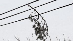 Weather warning: Strong winds expected to hit Limerick