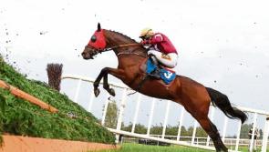 Top class entry for JT McNamara Ladbrokes Munster National at Limerick