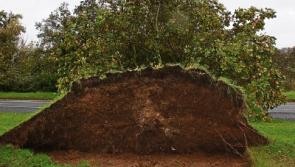 Limerick City View: Proper planning helped to save lives during Ophelia