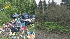 Campaign to stop dumping at Limerick beauty spot picks up