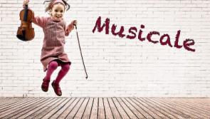 Creative Ireland: Limerick's Musicale to be 'truly inclusive' music festival