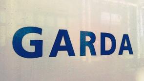 Limerick gardai involved in Operation Thor burglary arrests in Clare